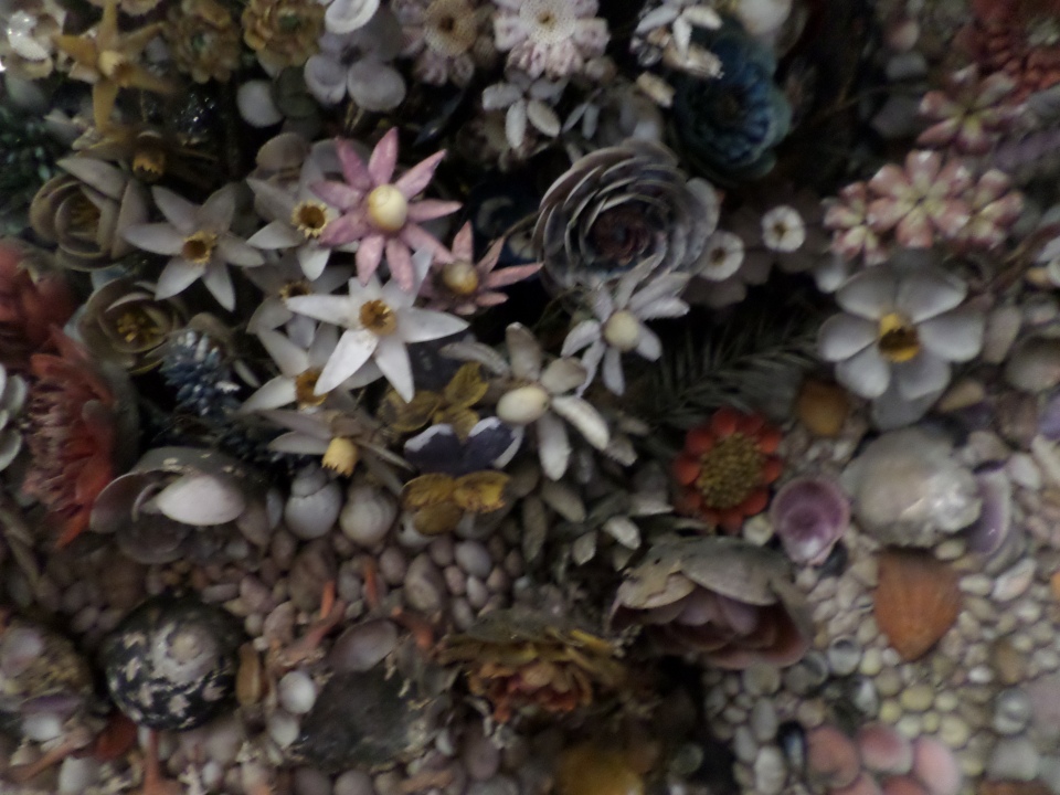 Shell Flowers in the Penrose Cabinet