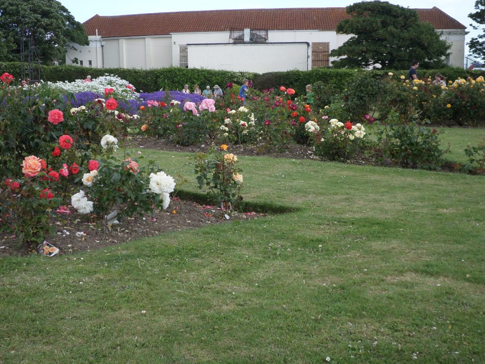 West Cliff Rose Garden